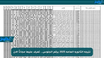 نتيجة الثانوية العامة 2025 برقم الجلوس.. تعرف عليها مجاناً الآن